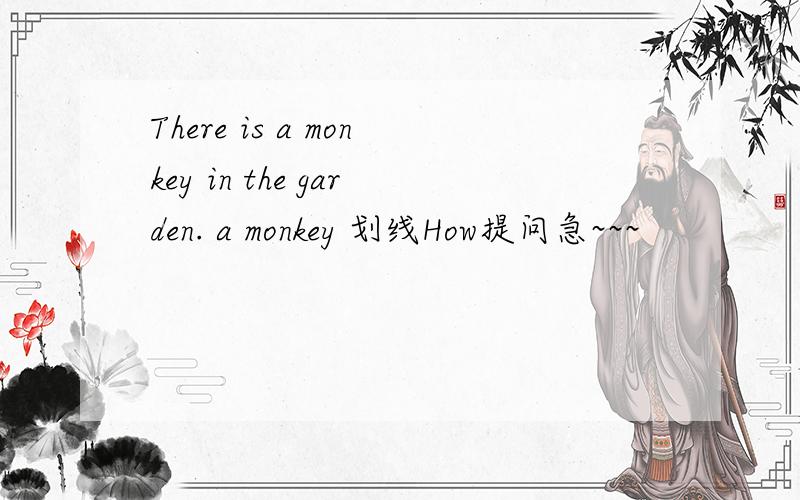 There is a monkey in the garden. a monkey 划线How提问急~~~