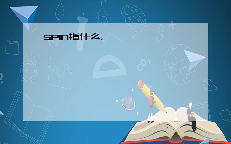 SPIN指什么.