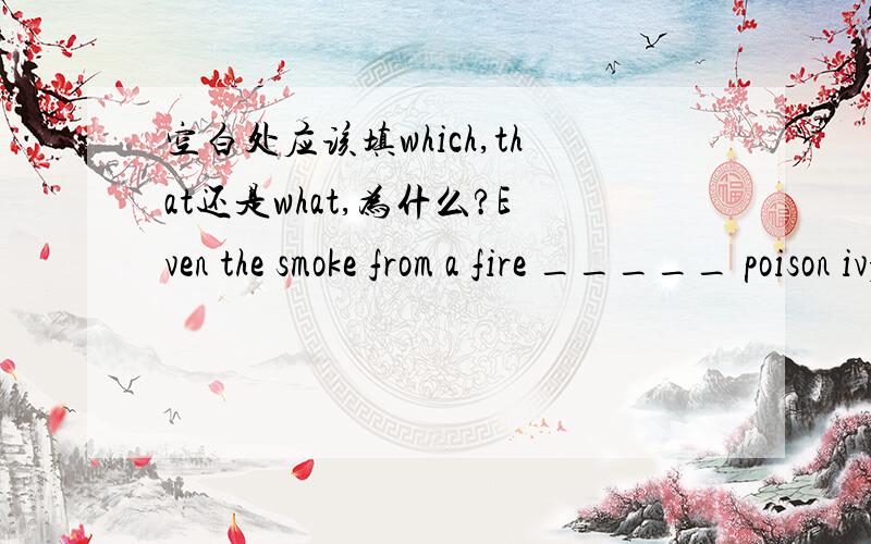 空白处应该填which,that还是what,为什么?Even the smoke from a fire _____ poison ivy is burning can cause the skin poisoning.