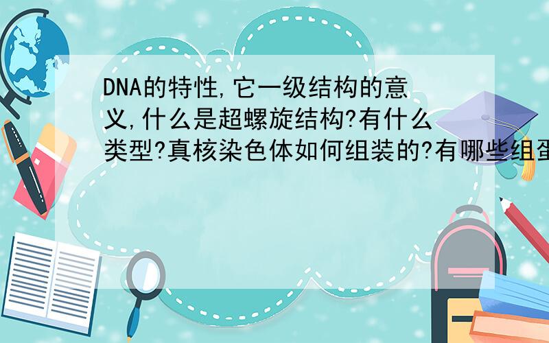 DNA的特性,它一级结构的意义,什么是超螺旋结构?有什么类型?真核染色体如何组装的?有哪些组蛋白与核、v