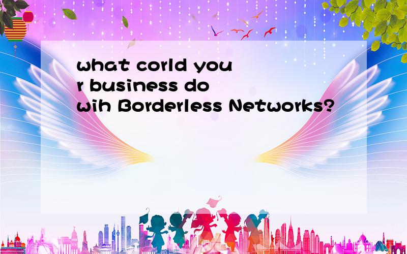 what corld your business do wih Borderless Networks?