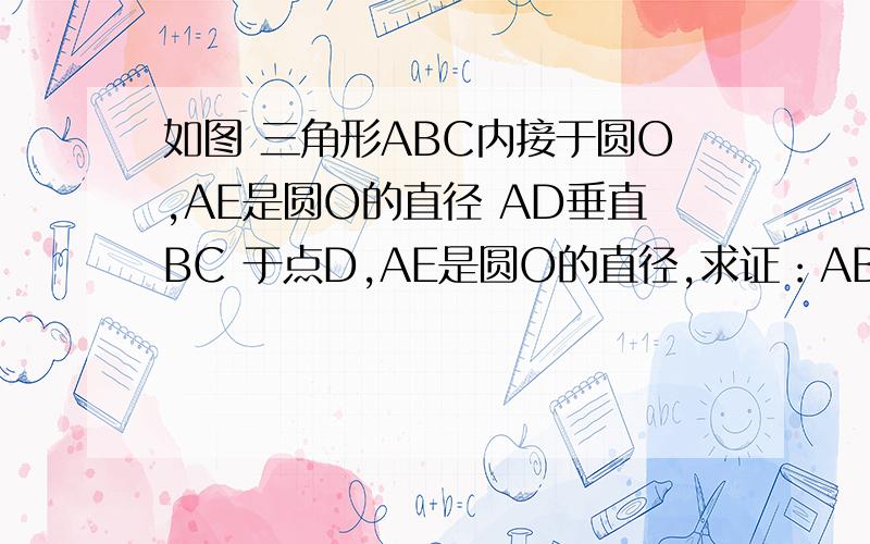 如图 三角形ABC内接于圆O,AE是圆O的直径 AD垂直BC 于点D,AE是圆O的直径,求证：AB×AC=AD×AE