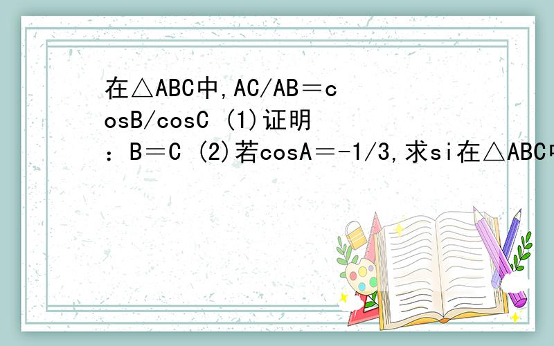 在△ABC中,AC/AB＝cosB/cosC (1)证明：B＝C (2)若cosA＝-1/3,求si在△ABC中,AC/AB＝cosB/cosC(1)证明：B＝C(2)若cosA＝-1/3,求sin(4B+π/3)的值