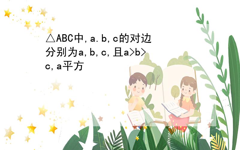 △ABC中,a.b,c的对边分别为a,b,c,且a>b>c,a平方
