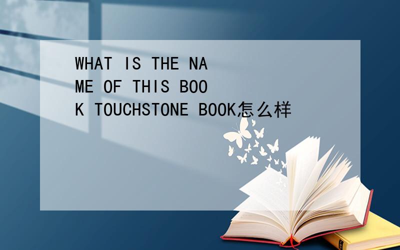 WHAT IS THE NAME OF THIS BOOK TOUCHSTONE BOOK怎么样