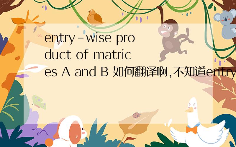 entry-wise product of matrices A and B 如何翻译啊,不知道entry-wise表示啥意识