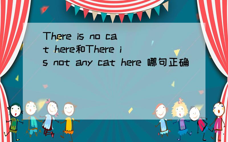 There is no cat here和There is not any cat here 哪句正确
