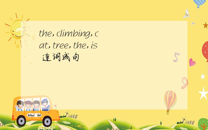 the,climbing,cat,tree,the,is 连词成句