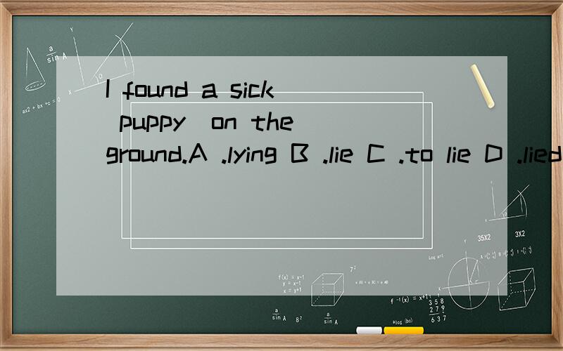 I found a sick puppy_on the ground.A .lying B .lie C .to lie D .lied