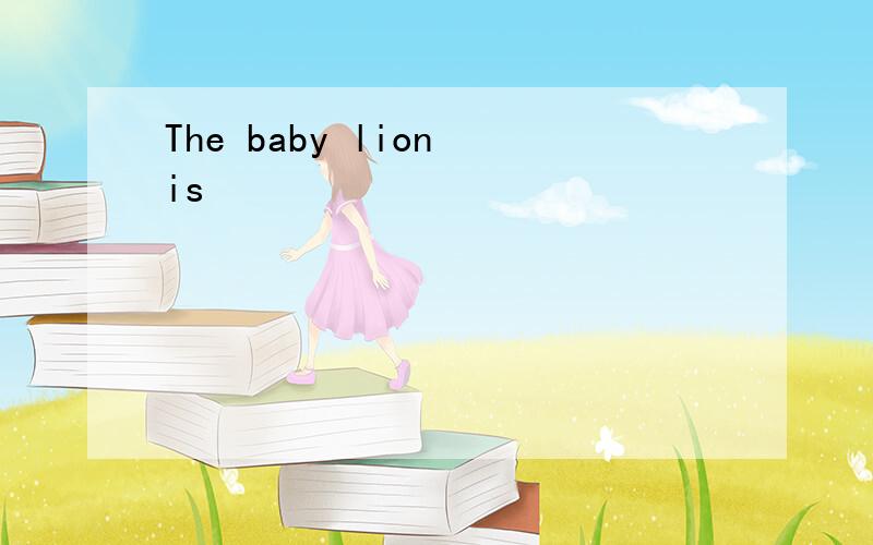 The baby lion is