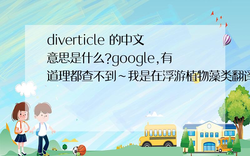 diverticle 的中文意思是什么?google,有道理都查不到~我是在浮游植物藻类翻译中发现的~